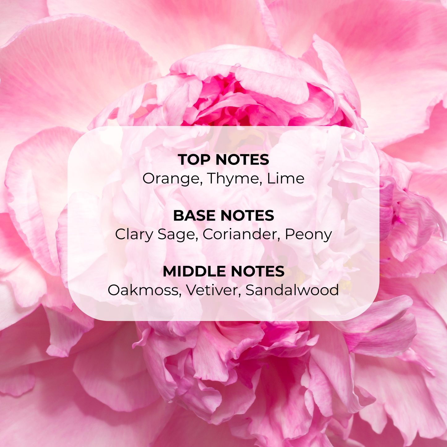 Peony Thyme